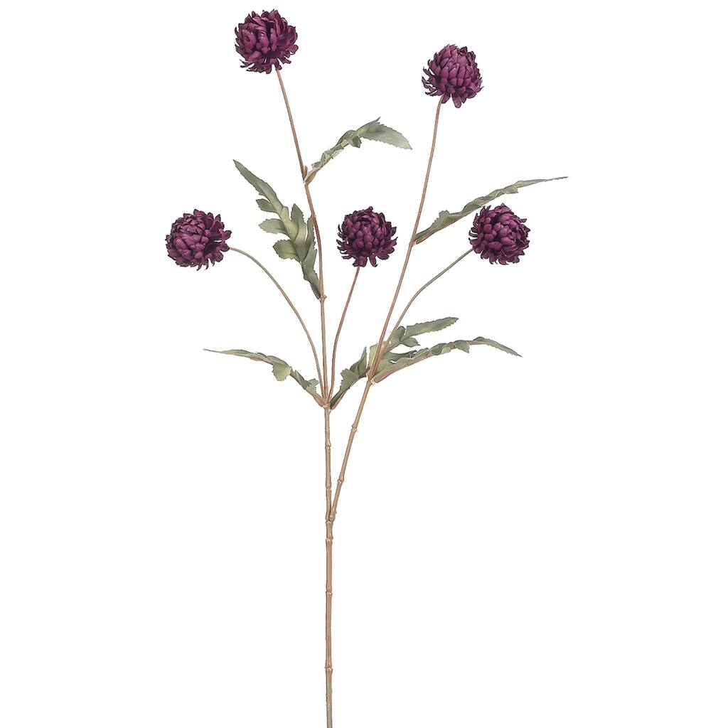 D205921S_1.jpg img